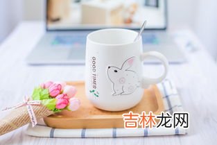 蛋白质粉怎么冲泡,泡蛋白粉用什么水冲最好呢?