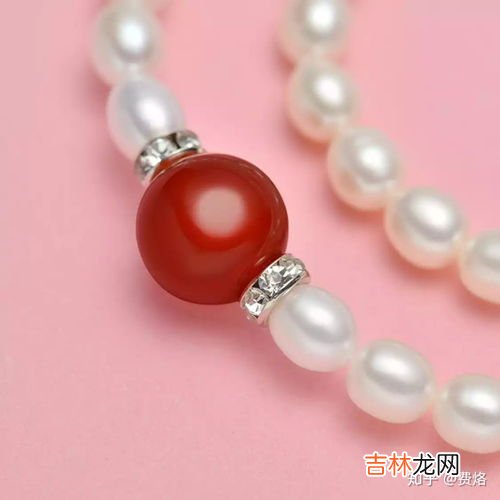 红色康乃馨花语是什么,红色康乃馨花语代表什么意思