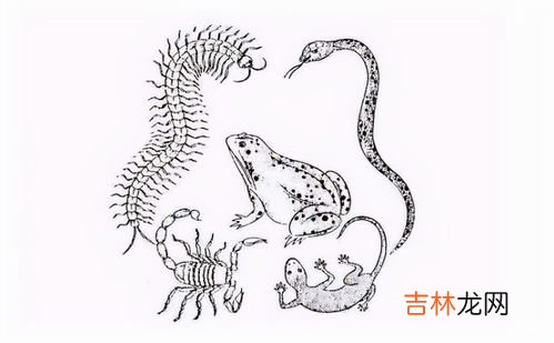 蚯蚓是用气孔呼吸的对吗,蚯蚓没有专门的呼吸器官，它靠下列那种结构进行与外界的气&#8230;