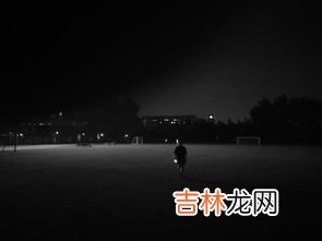 灵魂伴侣是指什么意思,灵魂伴侣是什么思意思?