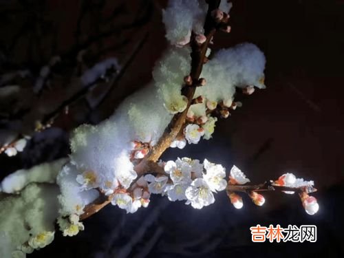 二八月乱穿衣指的是阳历二八月吗,“二八月乱穿衣”,是什么意思?