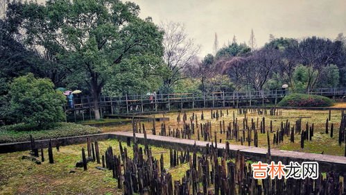 河姆渡遗址能够证明什么,证明中国是水稻的故乡的遗址