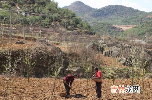 贵州平均海拔是多少米,贵州海拔多少