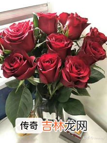 红玫瑰主要是指什么人,2朵红玫瑰一般送给哪些人？