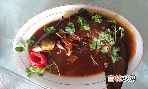 鲶鱼吃什么,鲶鱼吃什么