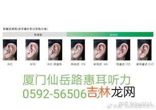 助听器品牌排行榜,助听器哪个牌子好