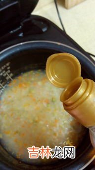 糙米可以煮粥吗,糙米直接煮粥可以吗