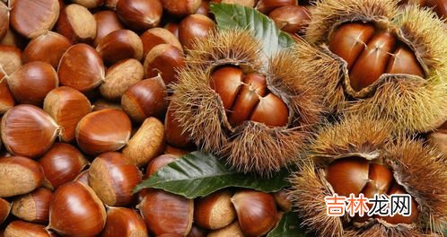 冰栗子与普通板栗的区别是什么,板栗直接冷冻还是煮一下冷冻 板栗冻了和鲜栗子口感一样吗