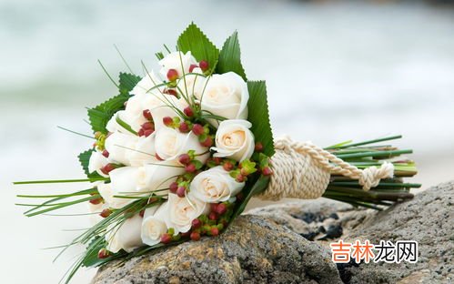 白色玫瑰花语是什么,白玫瑰花语是什么？