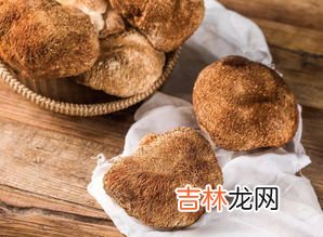 猴头菌胶囊有什么作用,猴头菌片有什么功效