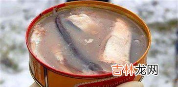 鲱鱼罐头这么臭为什么有人吃,鲱鱼罐头那么臭,为何还有人喜欢吃?真的很好吃吗?