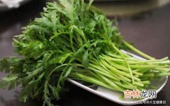 茼蒿可以生吃吗,野茼蒿能吃吗？