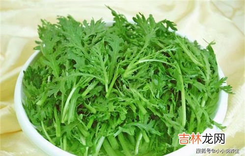 茼蒿可以生吃吗,野茼蒿能吃吗？
