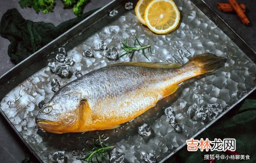 黄鱼和黄花鱼是同一种鱼吗,黄鱼和黄花鱼是同一种鱼吗？