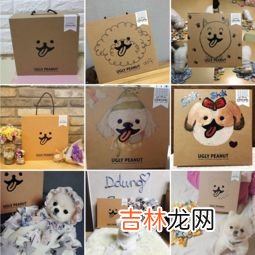 宠物用品品牌排行榜,那个牌子的猫粮好