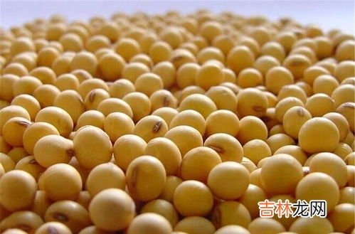 大豆磷脂功效与作用,大豆卵磷脂功效与作用