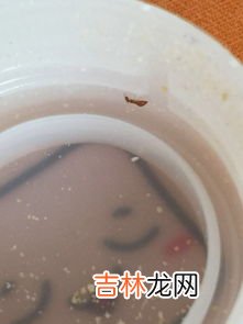 蚂蚁多是什么原因,为什么蚂蚁会突然聚集那么多