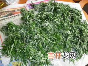 艾草煮熟后放冷冻能保存多久,冷冻了一年的艾叶还能吃吗