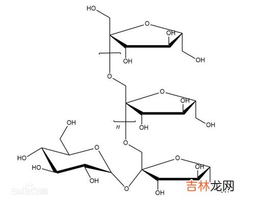 不吃碳水化合物的好处与坏处,长期不吃碳水化合物对身体有什么影响