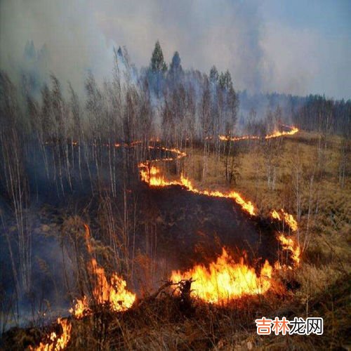大兴安岭火灾在哪一年发生,大兴安岭火灾是哪一年发生的?