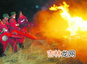 大兴安岭火灾在哪一年发生,大兴安岭火灾是哪一年发生的?