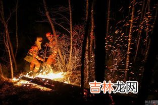 大兴安岭火灾在哪一年发生,大兴安岭火灾是哪一年发生的?