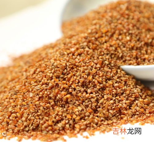 苦荞能不能吃,苦荞能不能吃