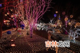 彩灯有哪几种,民间花灯有哪些