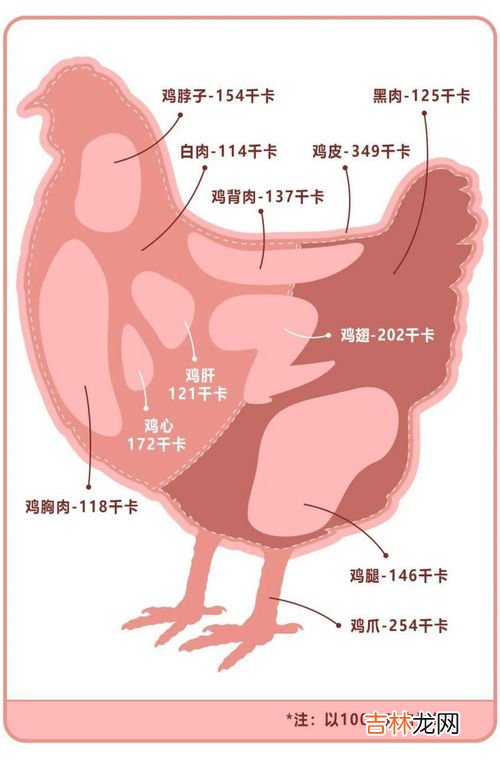 小鸡腿胎盘素使用顺序,富勒烯胎盘素可以代替精华液用吗?