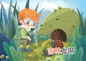 昆虫记蝈蝈的特点和生活特征,蝈蝈的特点和生活特征是什么?