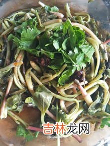 折耳根凉拌要焯水吗,折耳根怎么凉拌最好吃 折耳根凉拌需要焯水吗