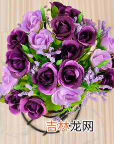 紫玫瑰花语,紫色玫瑰的花语是什么意思