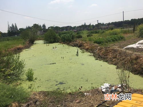 果皮是厨余垃圾还是其它垃圾,果皮属于什么垃圾 果皮属于哪类垃圾