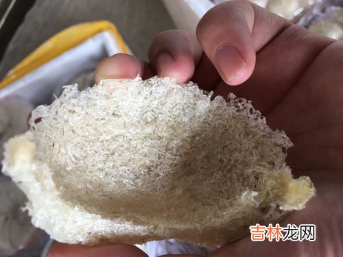 燕窝价格多少一克,燕窝多少钱一克