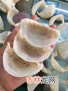 燕窝价格多少一克,燕窝多少钱一克