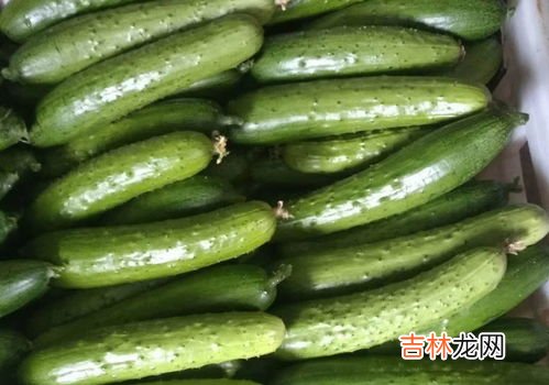 丝瓜移栽管理技术要点,丝瓜如何科学种植？栽培管理技术要点有哪些？