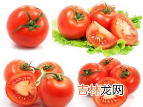 柿子是蔬菜还是水果,柿子是属于水果还是蔬菜