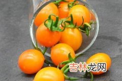 柿子是蔬菜还是水果,柿子是属于水果还是蔬菜