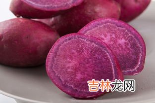 紫薯是转基因食品吗,紫薯是不是转基因