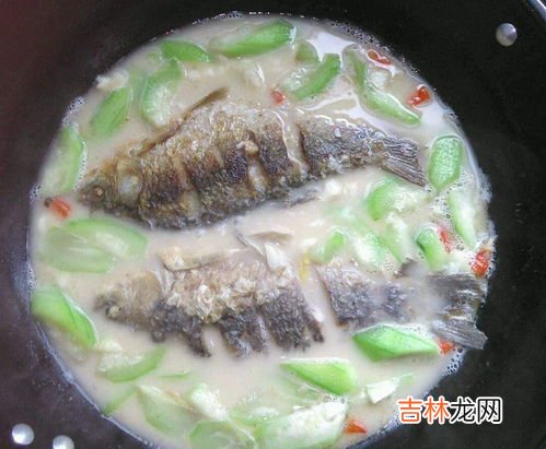 通乳汤做法,怎么给狗狗做催乳汤？