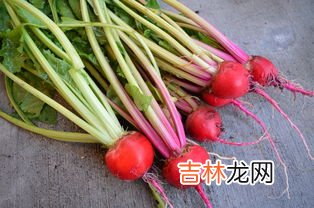 胡萝卜的升糖指数是多少,胡萝卜升糖吗