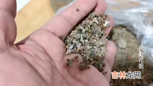 碳酸钾是什么,碳酸钾是什么