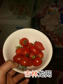 小西红柿和大西红柿的区别,有人认为小番茄价格贵,自然营养价值更高,小番茄真比大西红柿更有营养吗?