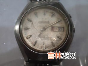 双狮表和精工哪个质量好,精工和双狮手表哪个好