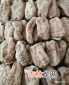 天麻什么人不可以吃,天麻不适合什么人吃