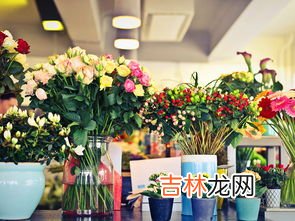 天鹅绒鲜花花语,天鹅绒鲜花花语