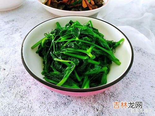 豌豆尖是什么季节的蔬菜,豌豆尖怕“冻”，冬季怎么防寒保暖呢？