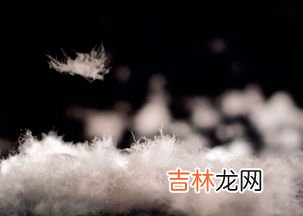 羽绒和羽毛的区别是什么,怎样识别羽绒和羽毛？
