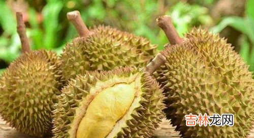 榴莲属于热带水果吗,榴莲属热性还是凉性水果