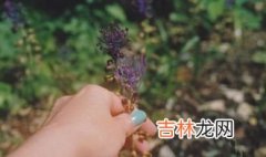 调节内分泌最好的方法,内分泌失调怎样调理